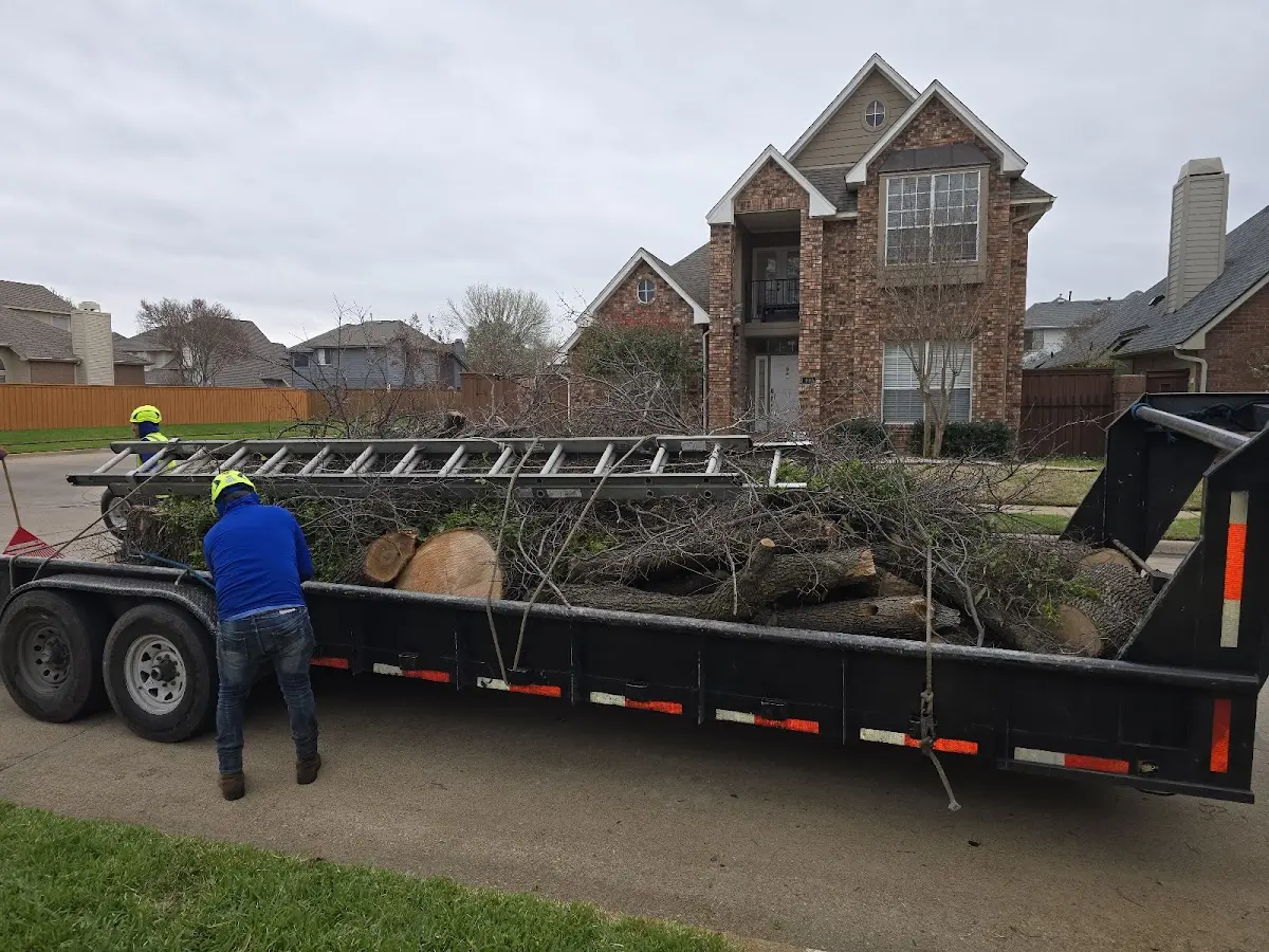 Expert Tree Removal with proper safety equipment in Winfield